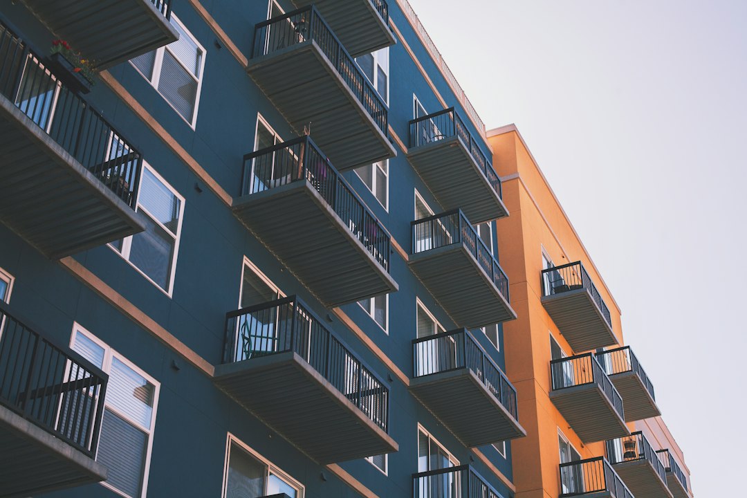 Renter-friendly apartment storage in a compact home